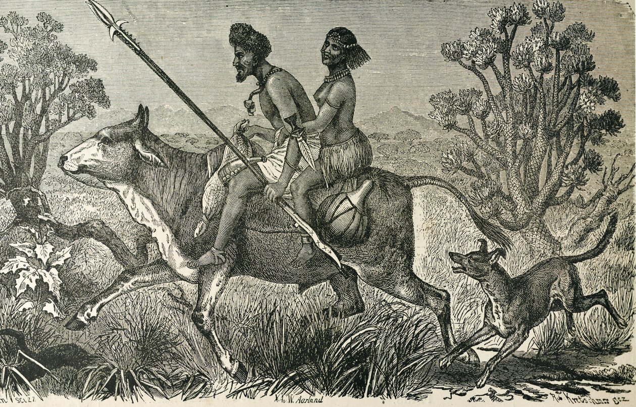 AFRIKA (19. století). Obyvatelé střední Afriky. Rytina. od Unbekannter Künstler