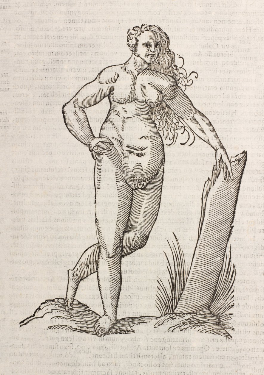 Androgynos od Unbekannt