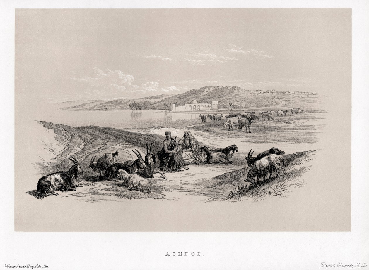 Ashdod Od David od Unbekannter Künstler