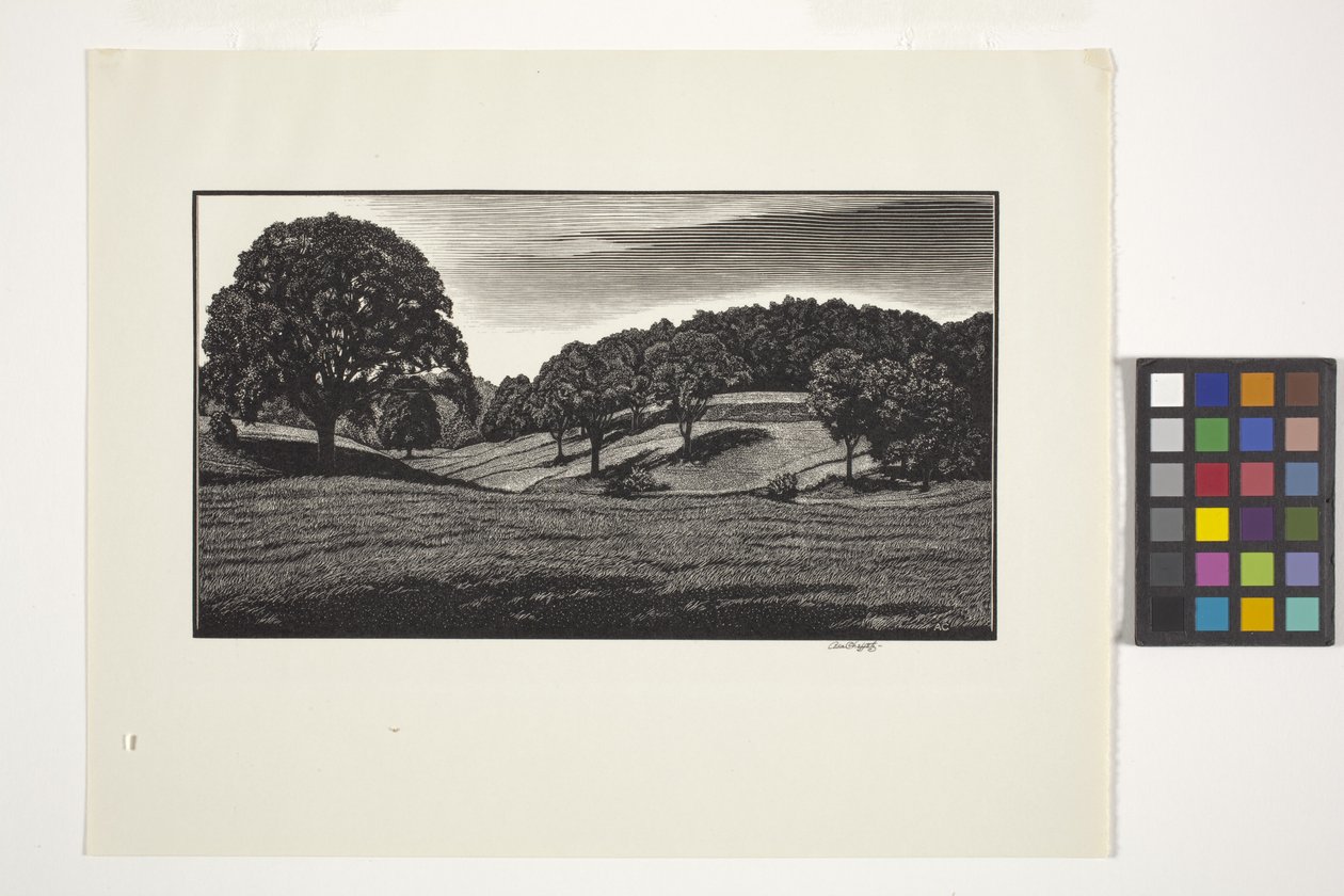 Country Scene (inkoust) od Unbekannter Künstler