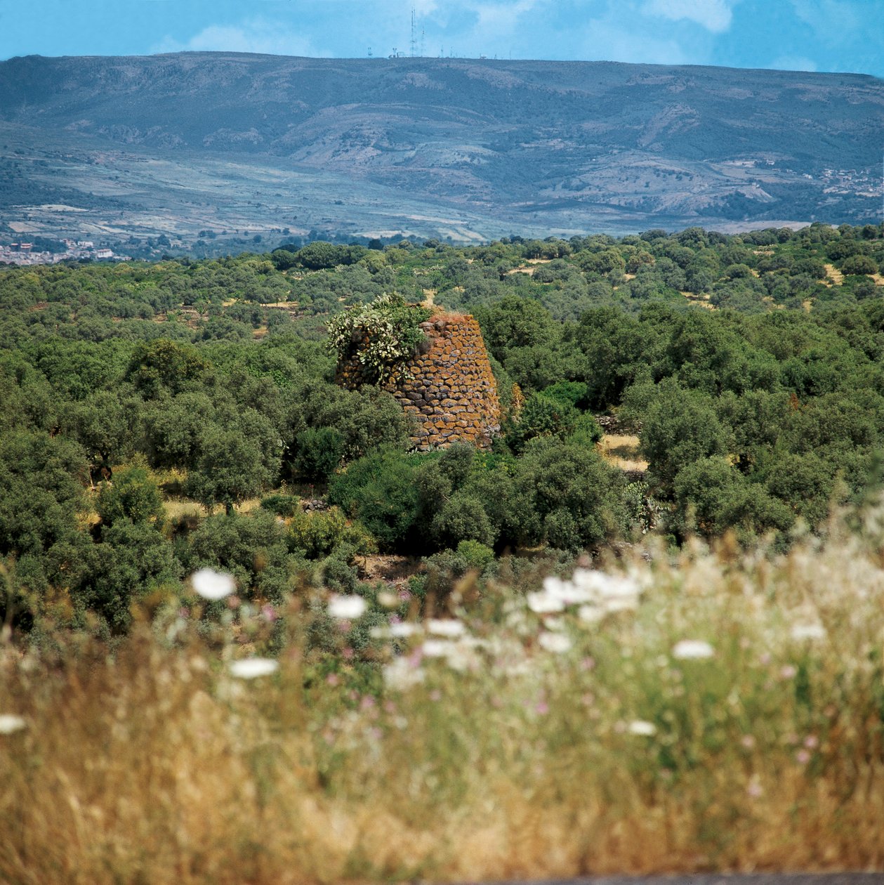 Itálie, region Sardinie, provincie Oristano, Nuraghe Crabia od William M. Timlin