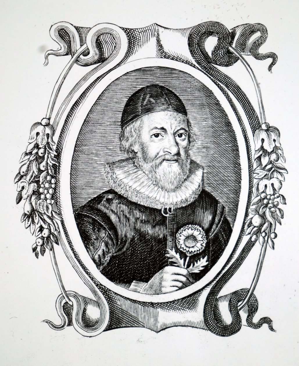 John Parkinson. od Unbekannt