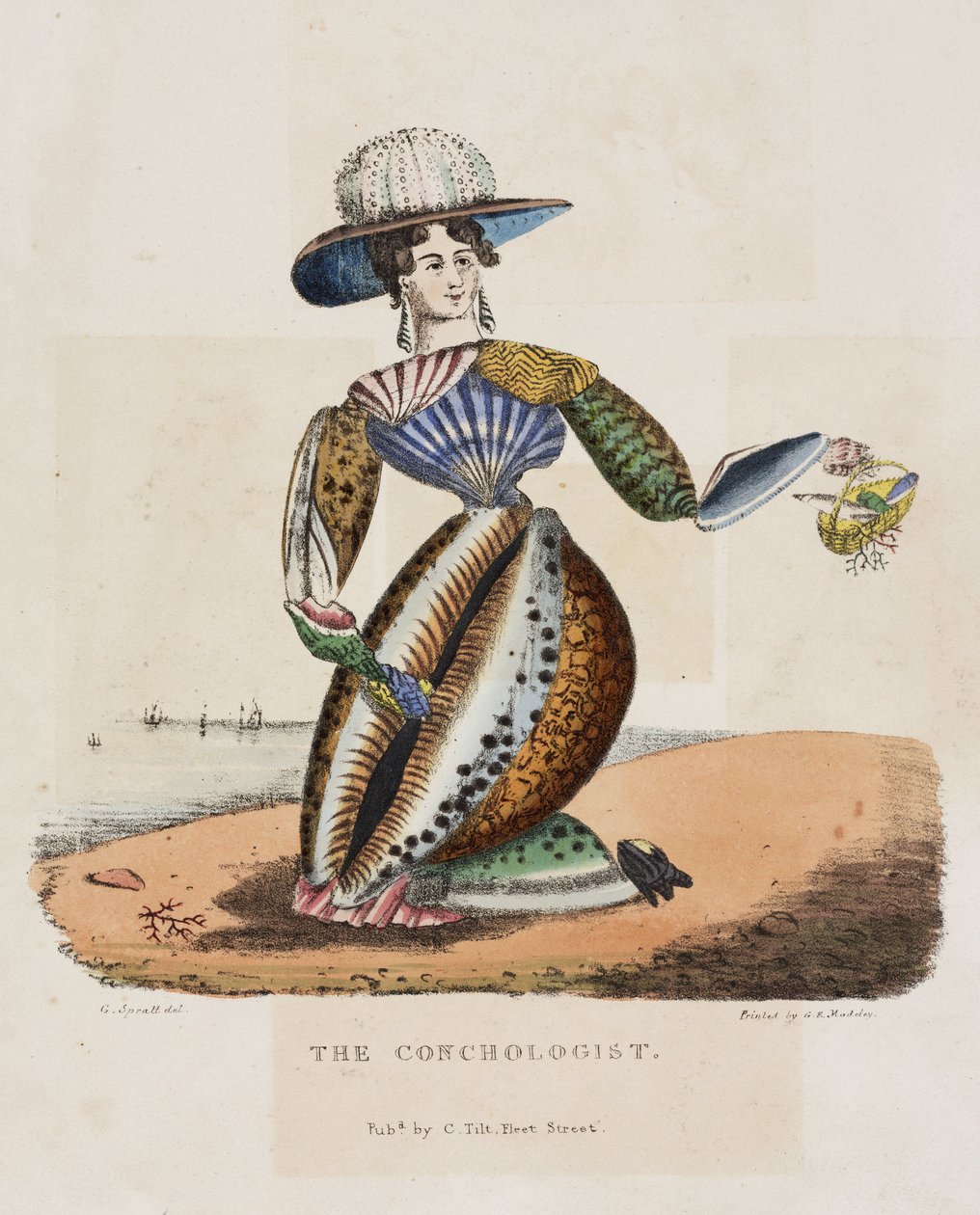Le conchyliologe, verze 1831 od Unbekannt