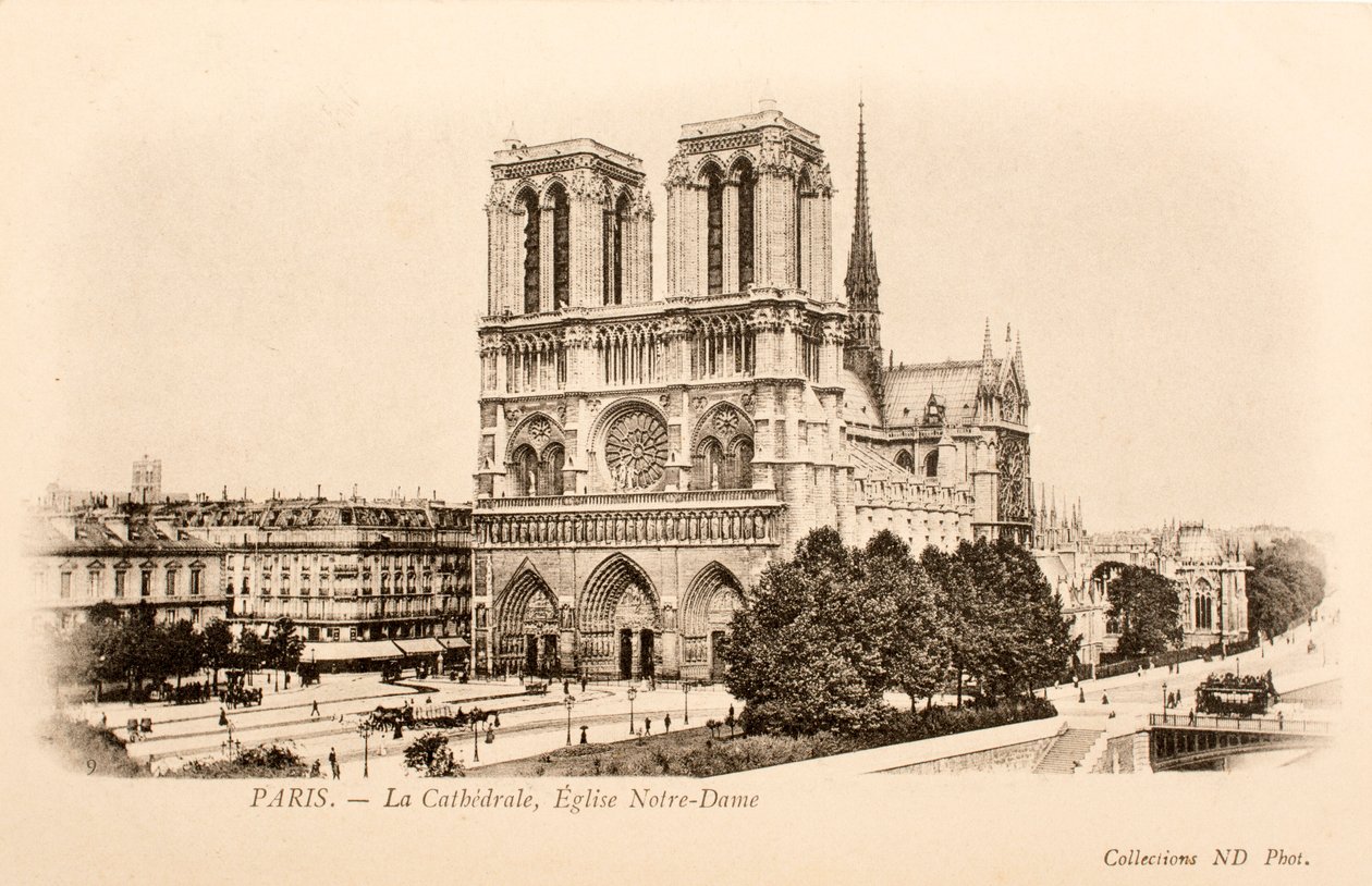 Pohlednice / Notre Dame / Paříž / Seina / Ile de France / Francie od William M. Timlin