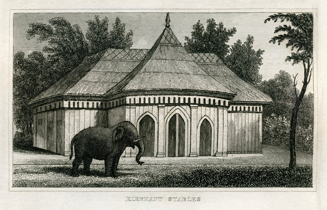 Zoo Regent