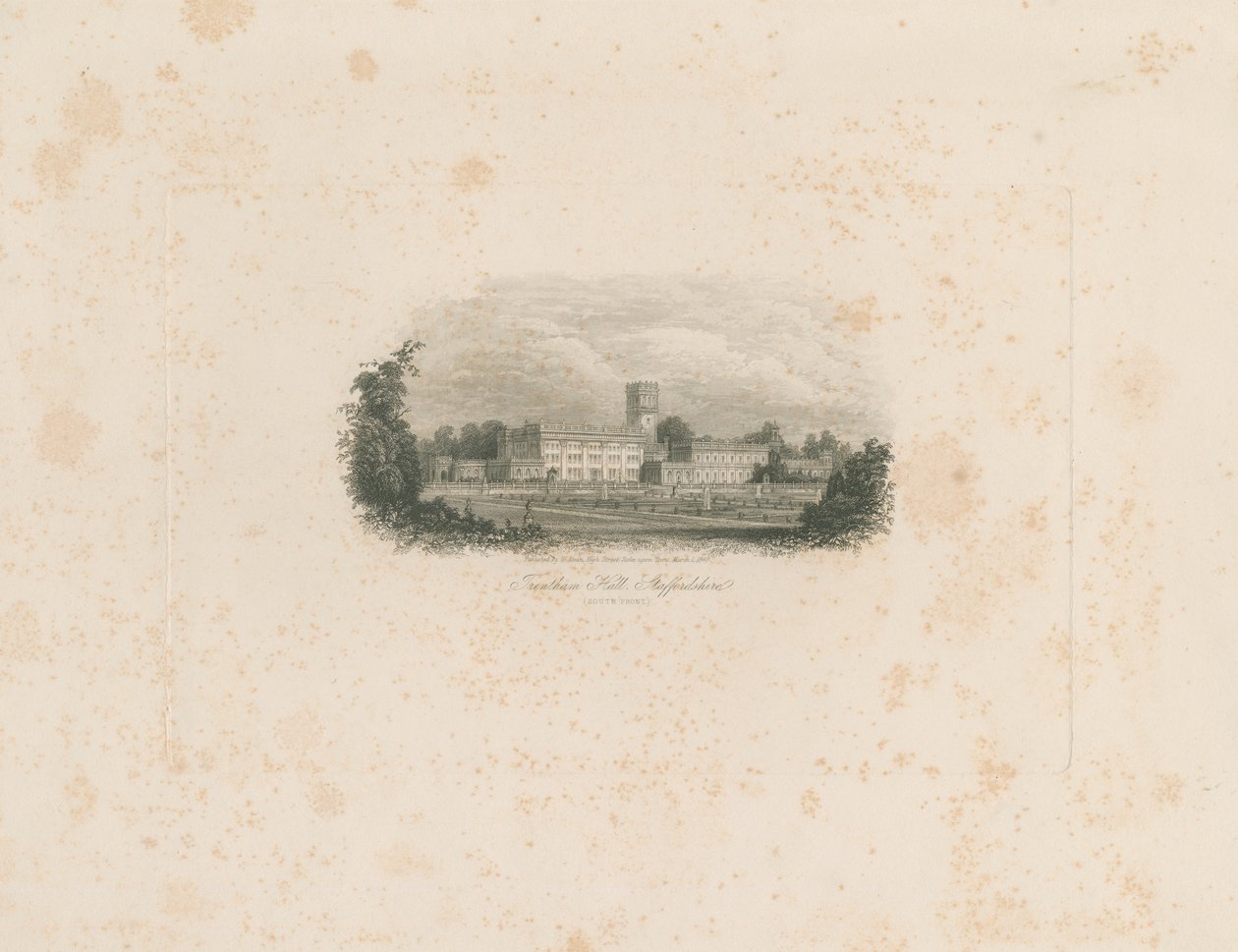 Trentham Hall: ocelorytina od Unbekannt
