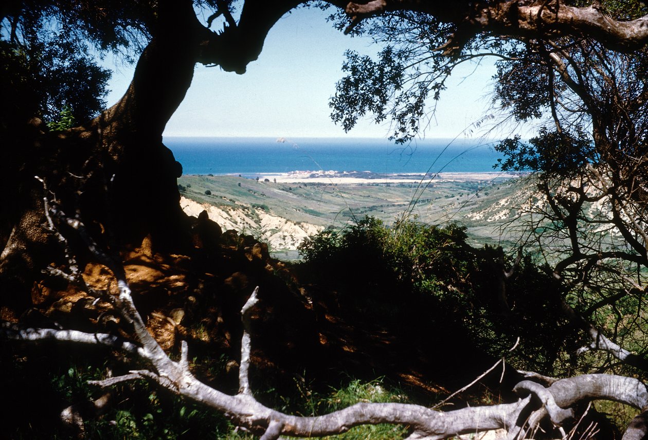 View of the Mediterranean Sea, Kabylia, Algeria   1420849   cs       czech Successfully Translated  Original: Orpheus and the Animals Orpheus charming the beasts Translat: Orpheus and the Animals Orpheus charming the beasts 1395197 cs czech Successfully Tr od Unbekannter Künstler