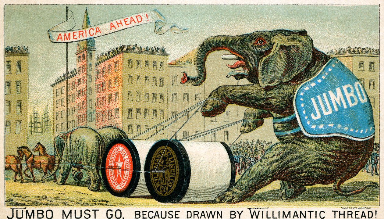 Willimantic Thread - reklama z konce 19. století od Unbekannter Künstler