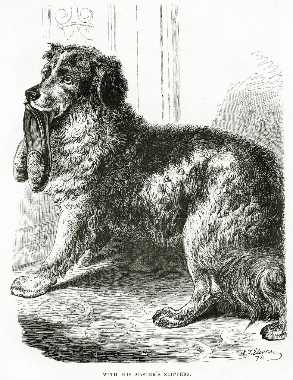 S pantoflemi svého pána 1902 (litho) od Unbekannt