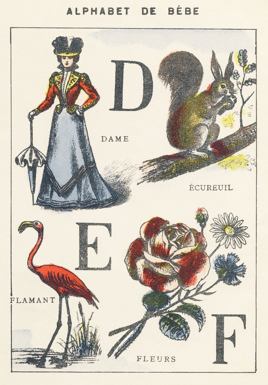 D E F: dáma, veverka, plameňák, květiny od Unknown artist