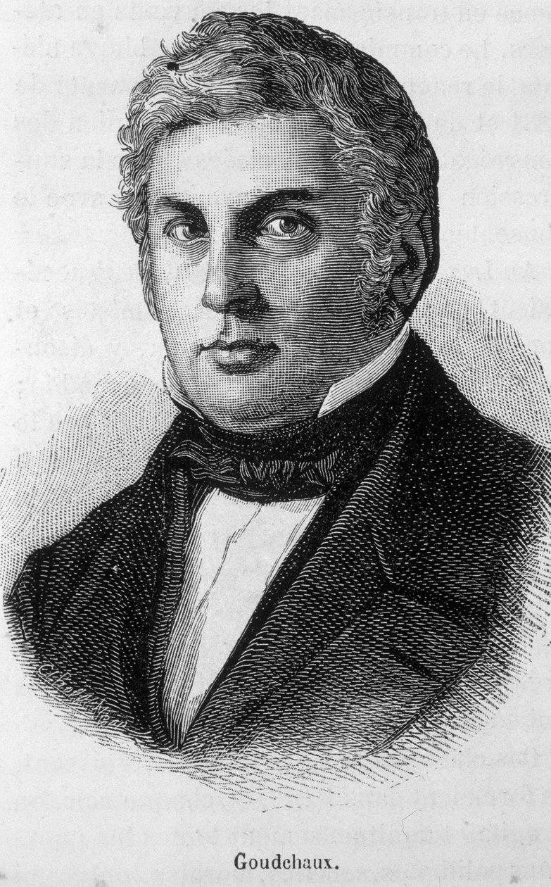 Portrét Michela Goudchauxe od Unknown artist