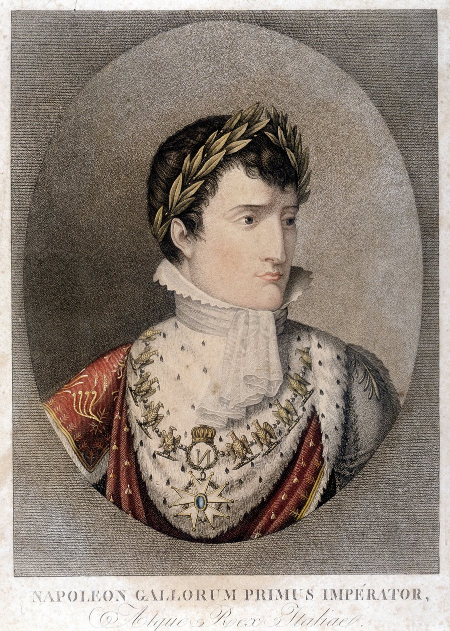 Portrét císaře Napoleona. od Unknown artist