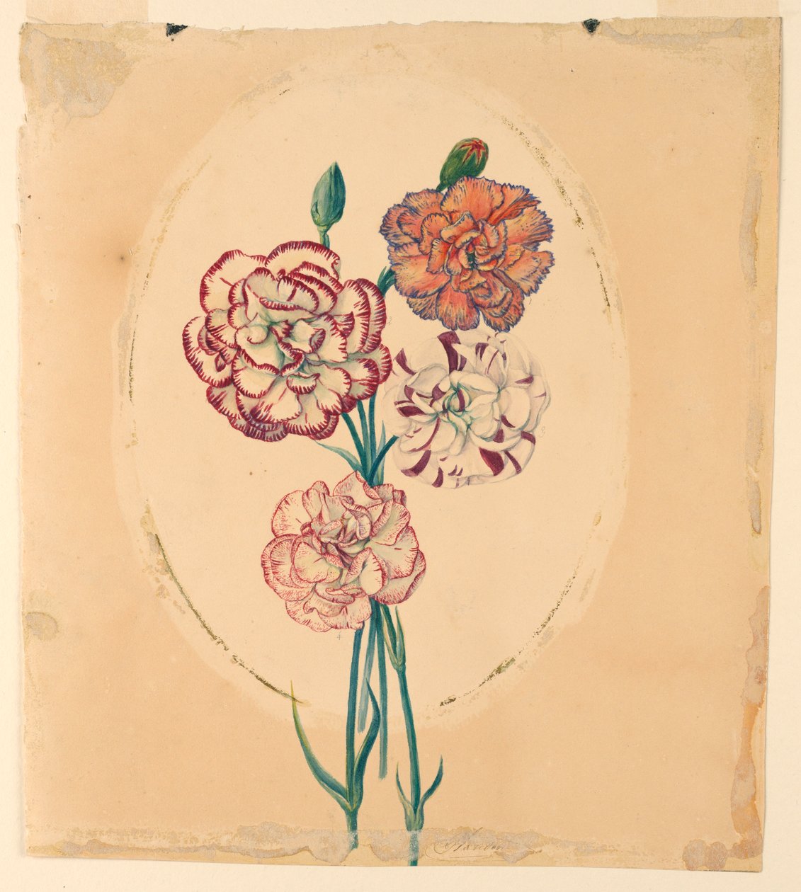 Svazek čtyř karafiátů od Unknown artist