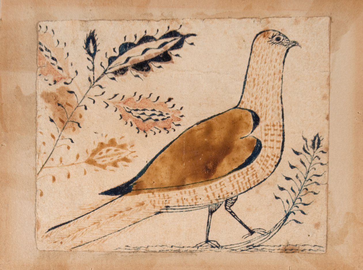 Pták od Unknown artist