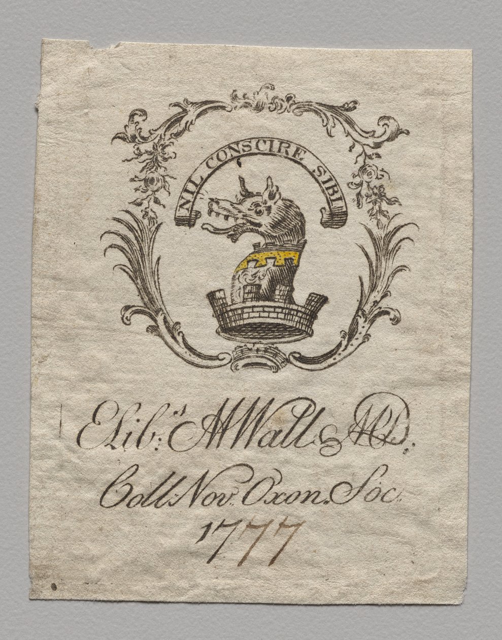 Knihovna: Elizabeth M. Watt, M.D. od Unknown artist