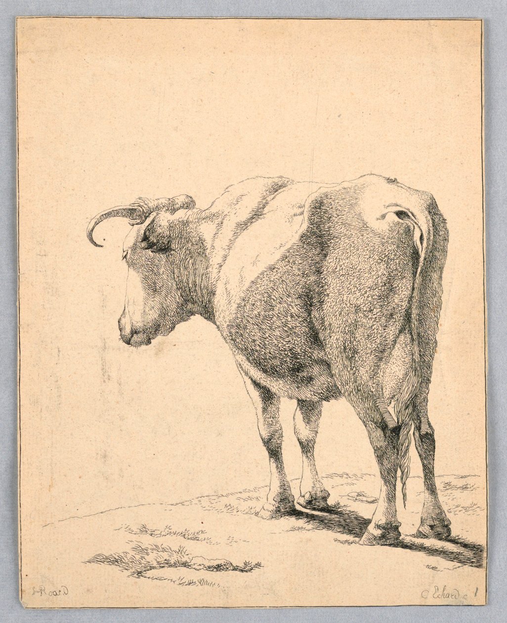 Kráva od Unknown artist