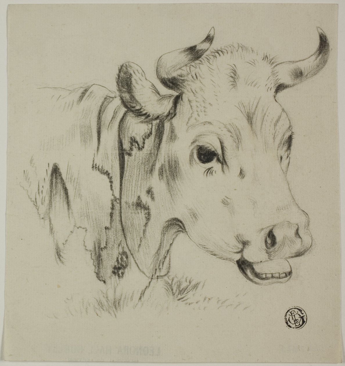 Kraví hlava od Unknown artist