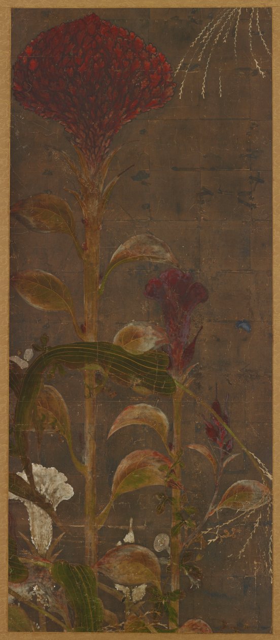 Coxcombs, kukuřice a jitrocel od Unknown artist