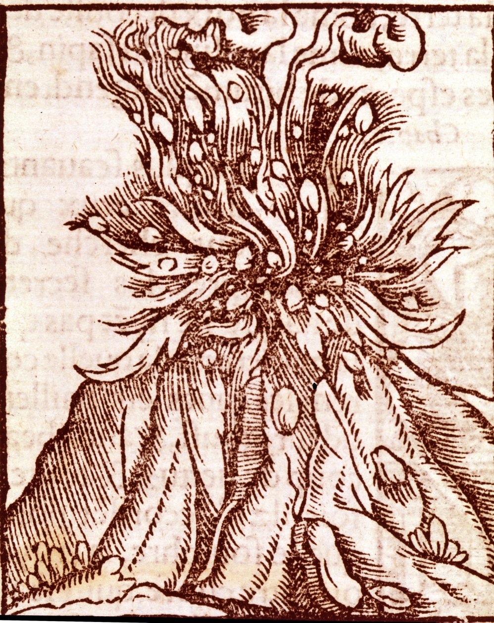 Erupce sopky. rytina 16. století. od Unknown artist
