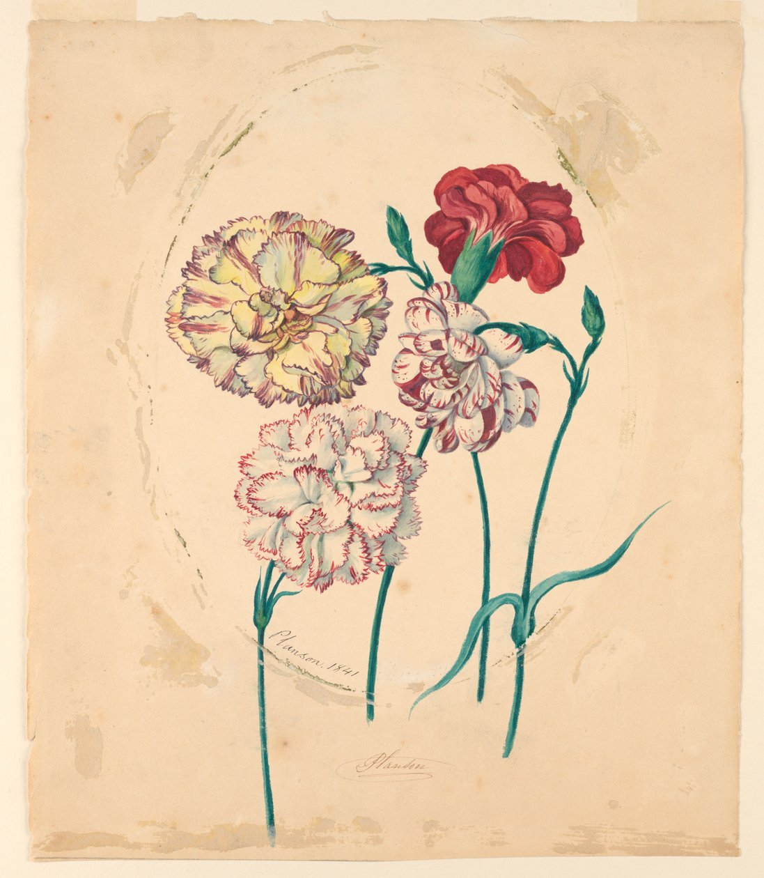 Čtyři karafiáty od Unknown artist