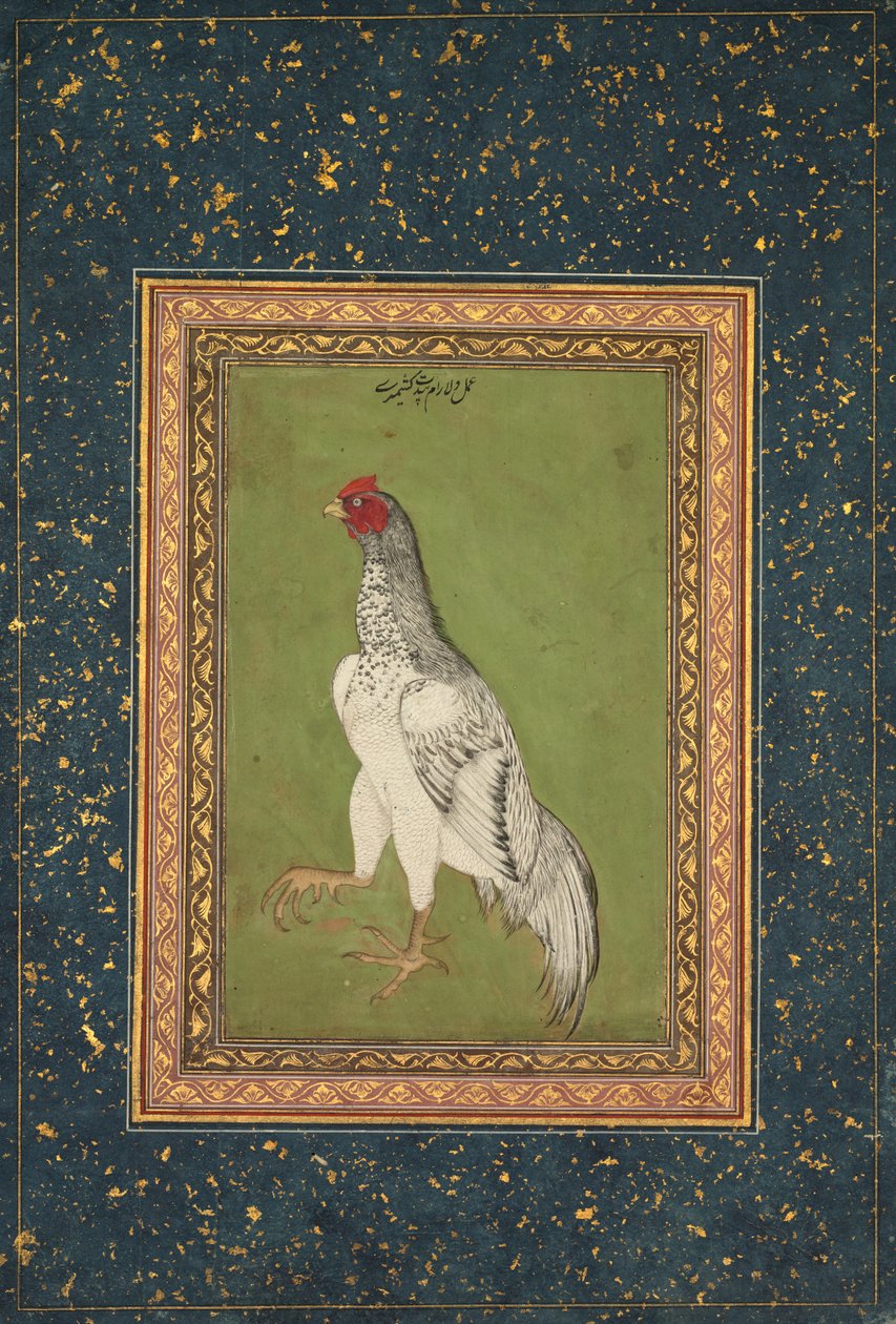 Kohout od Unknown artist