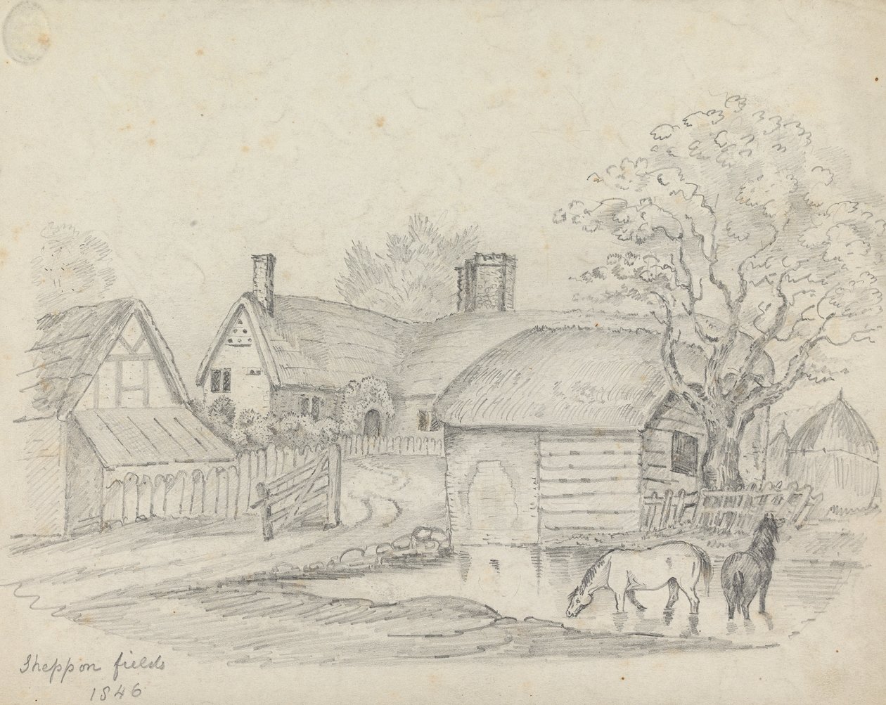 "Sheppon Fields" od Unknown artist