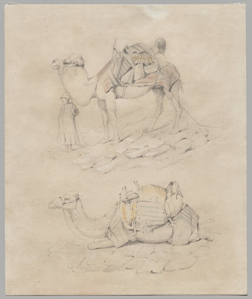 Studium velbloudů od Unknown artist