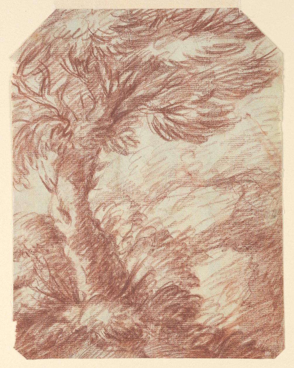 Studium stromů od Unknown artist