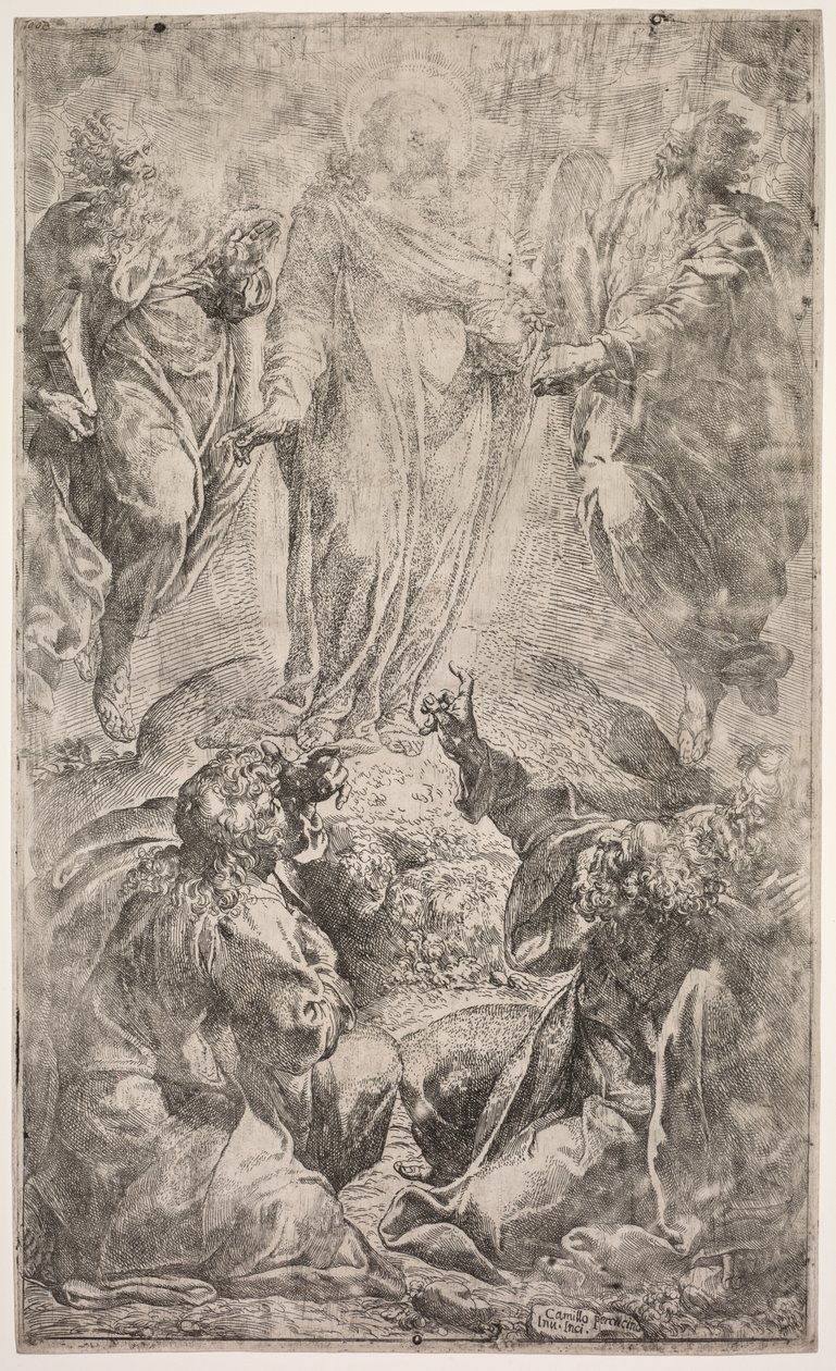 Proměna od Unknown artist