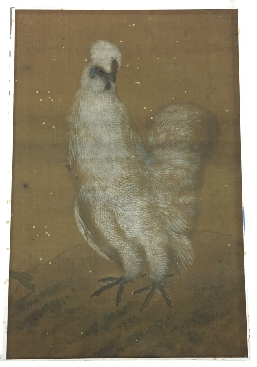 Bílý kohout od Unknown artist