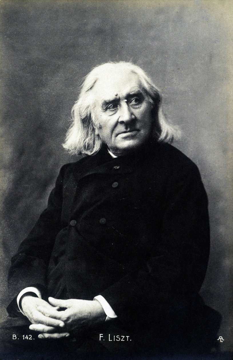 Portrét Franze Liszta. od Unknown photographer