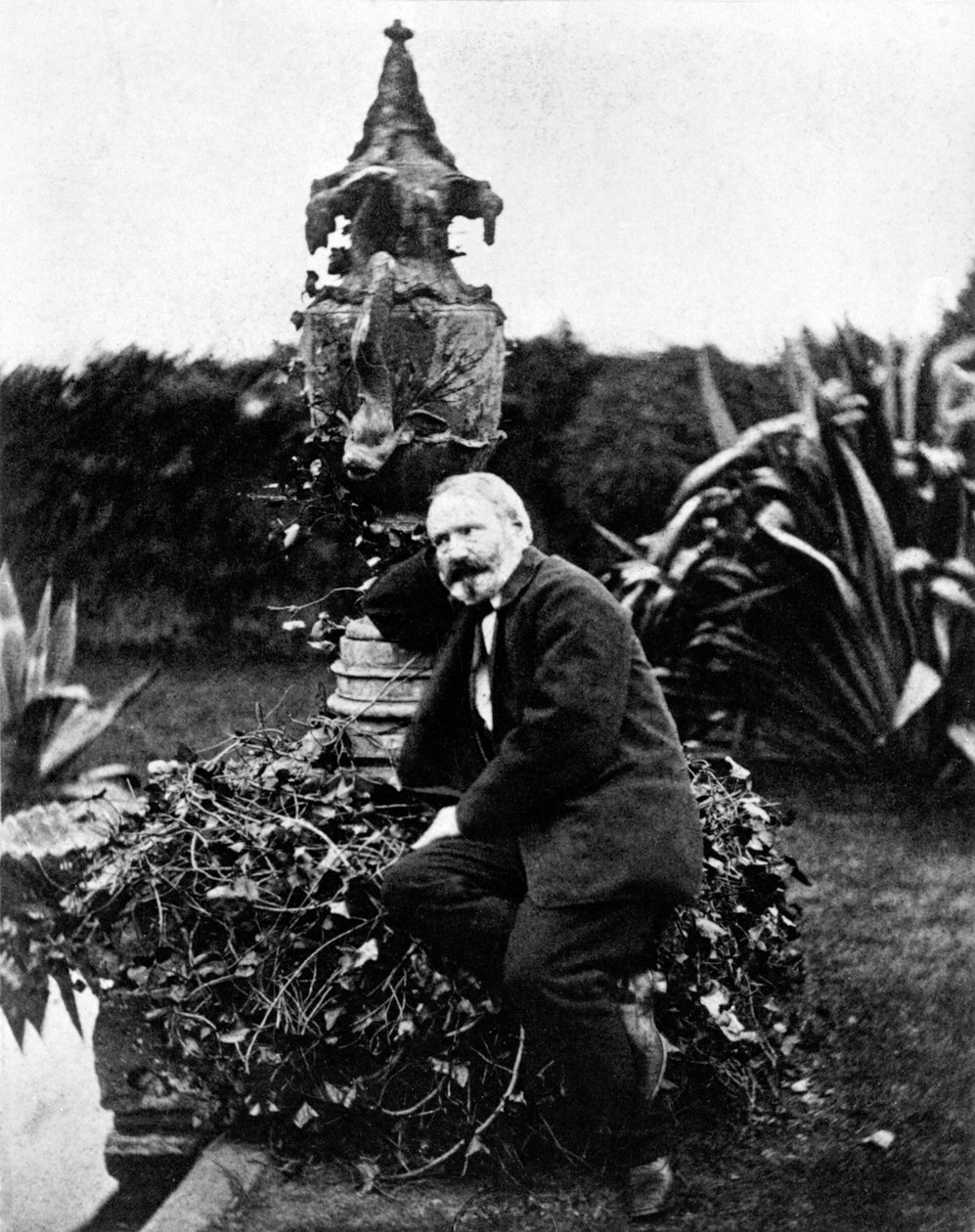 Portrét Victora Huga od Unknown photographer