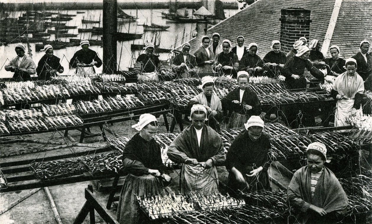 Průmysl na výrobu sardinek, Finistère, Brittany (čb fotografie) od Unknown photographer