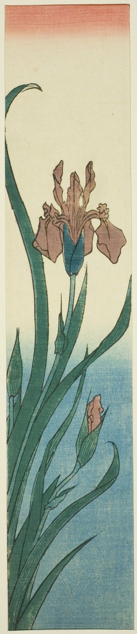 Duhovka od Utagawa Hiroshige