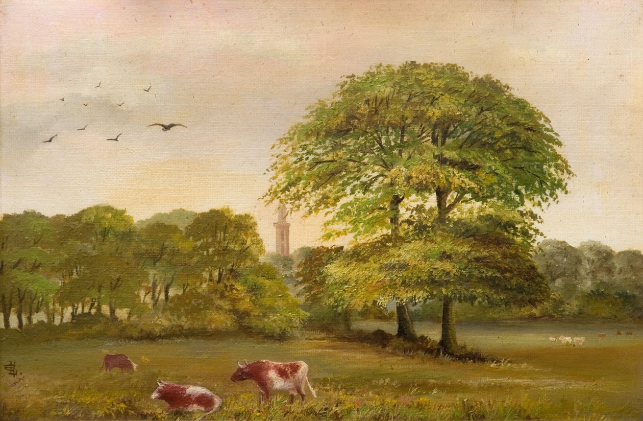 Čerpací stanice Tower Edgbaston, 1894. od Vale