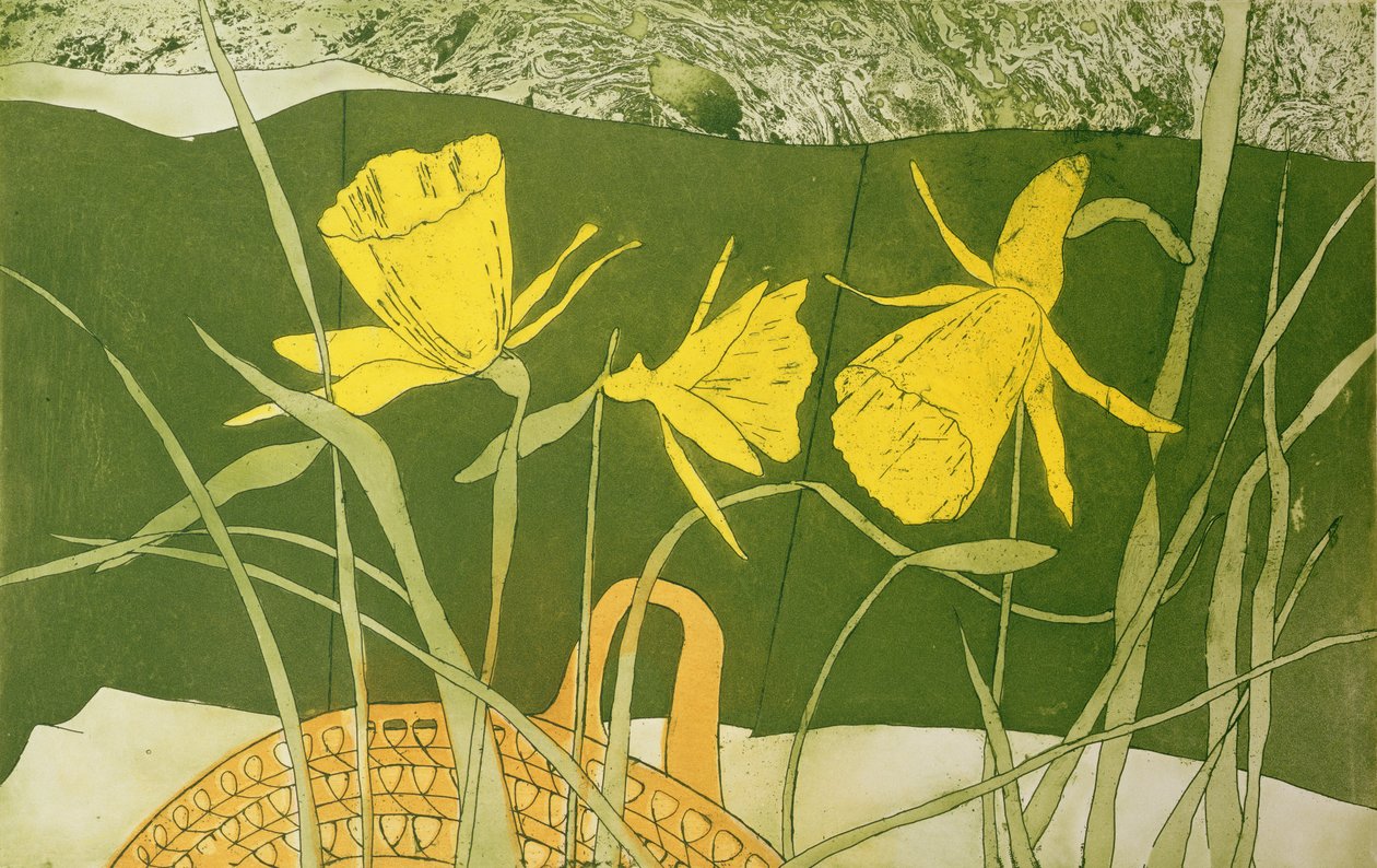 narcisy (tisk) od Valerie Daniel