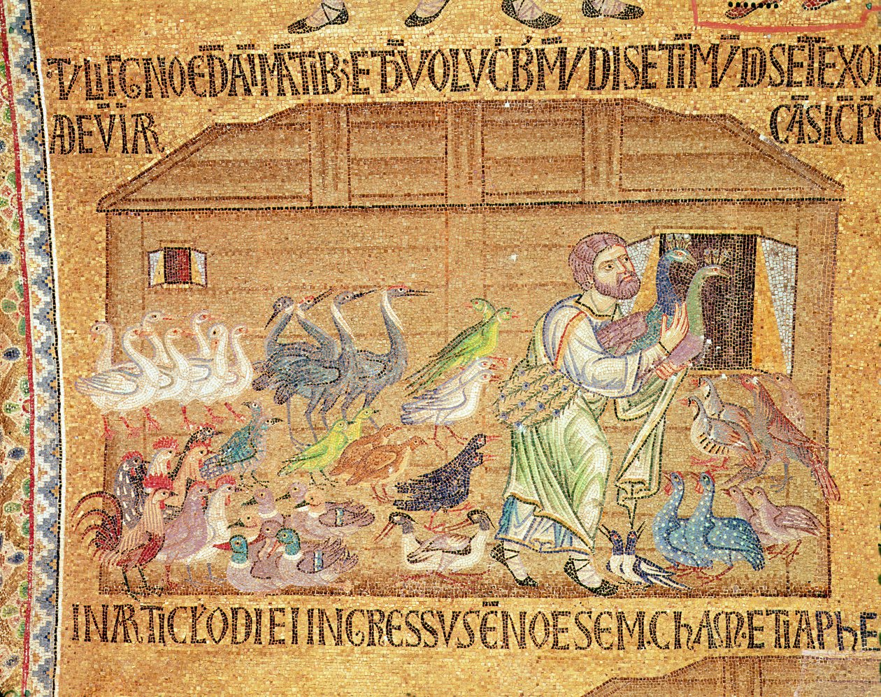 Potopa, z atria, detail Noema nasazujícího ptáky na archu (mozaika) od Byzantine School