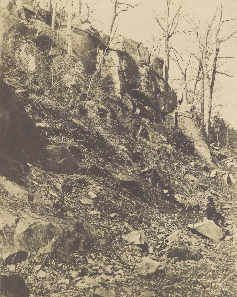 [Rocky Hillside], 50. léta 19. století. od Victor Prevost