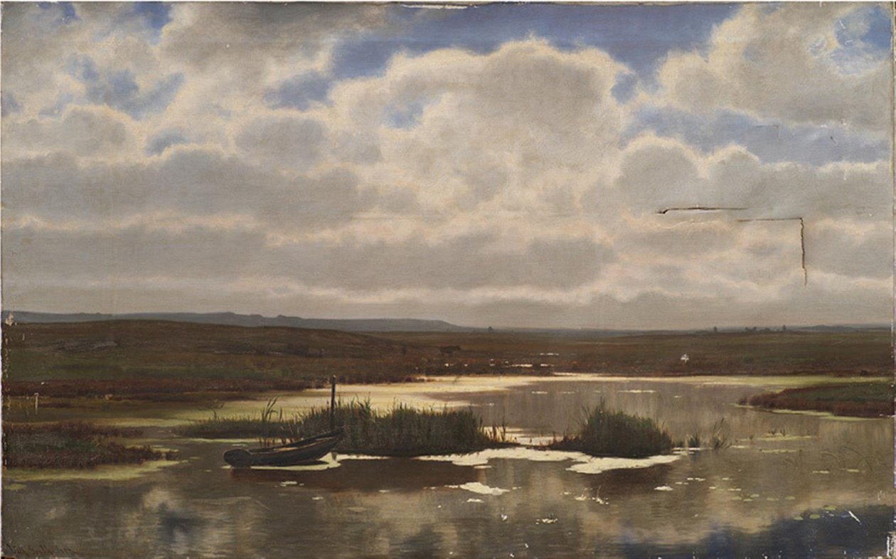 Vřesoviště s bažinou od Vilhelm Groth