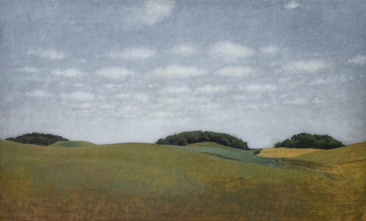 Krajina a tábory od Vilhelm Hammershoi