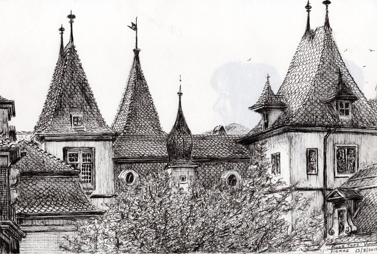 Sierre Rooftops Švýcarsko, 2012, (inkoust na papíře) od Vincent Alexander Booth