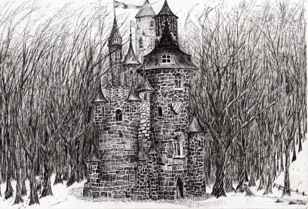 Hrad v lese Findhorn, 2006, (inkoust na papíře) od Vincent Alexander Booth