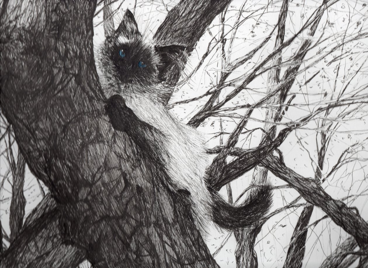 Up the apple tree, 2006, (inkoust na papíře) od Vincent Alexander Booth