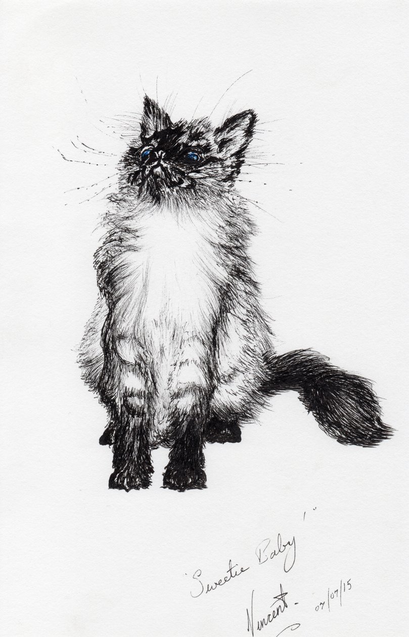 zlatíčko, 2015, (inkoust na papíře) od Vincent Alexander Booth