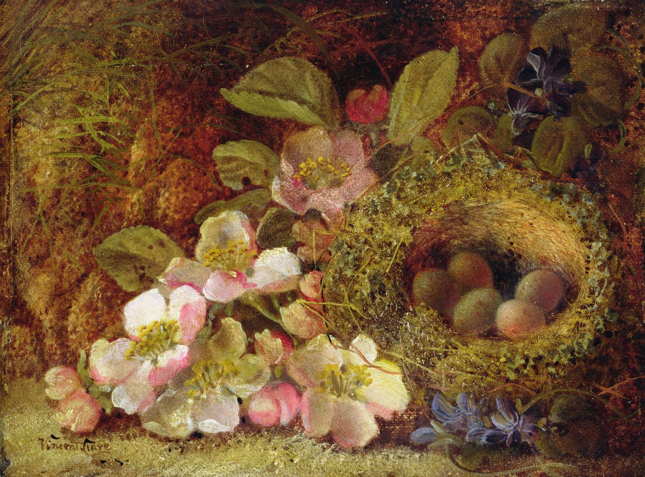 Jaro od Vincent Clare