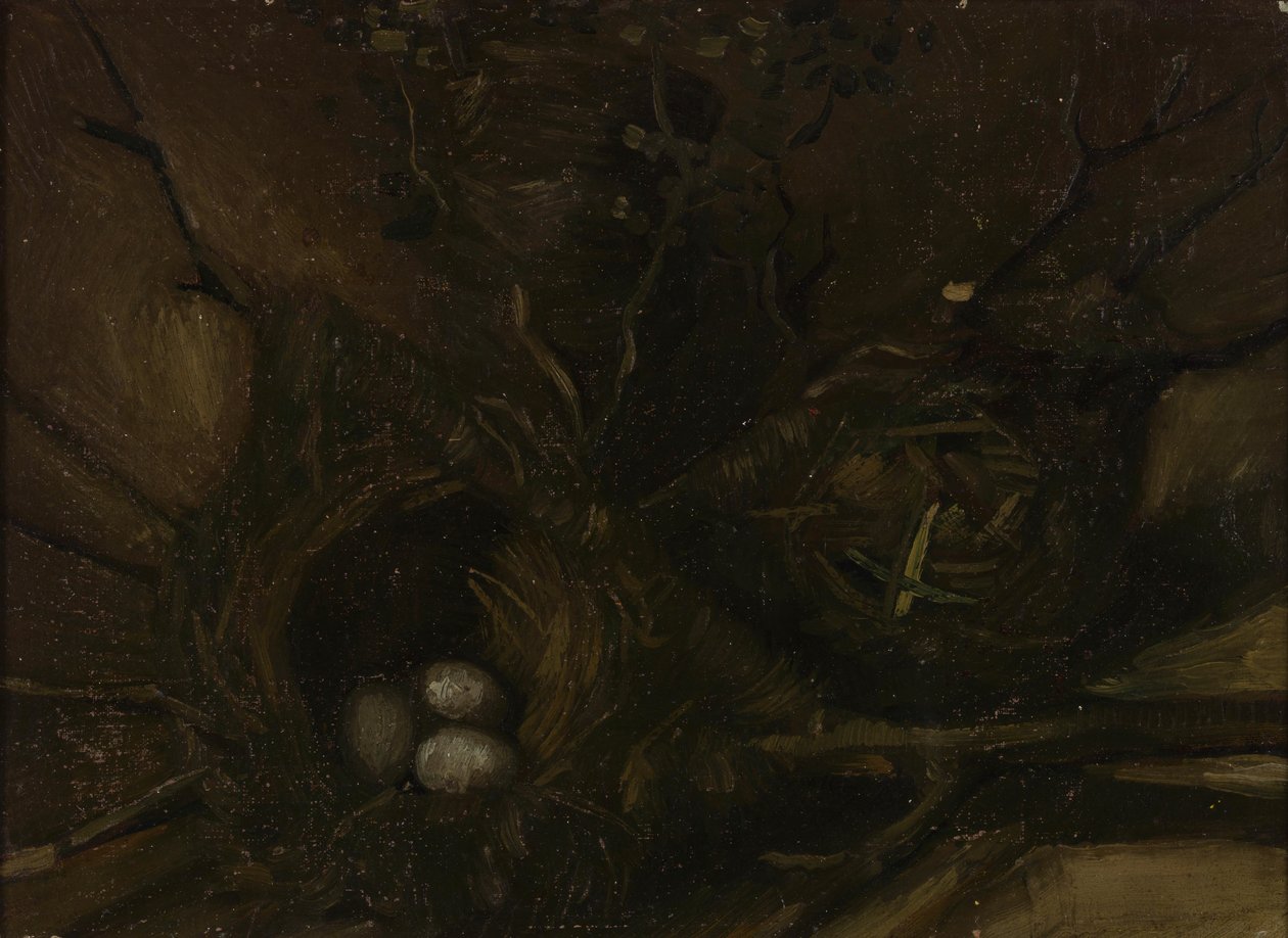 Ptačí hnízda od Vincent van Gogh