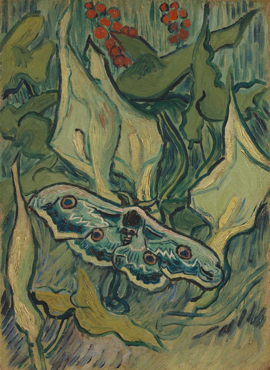 Obří páv můra od Vincent van Gogh