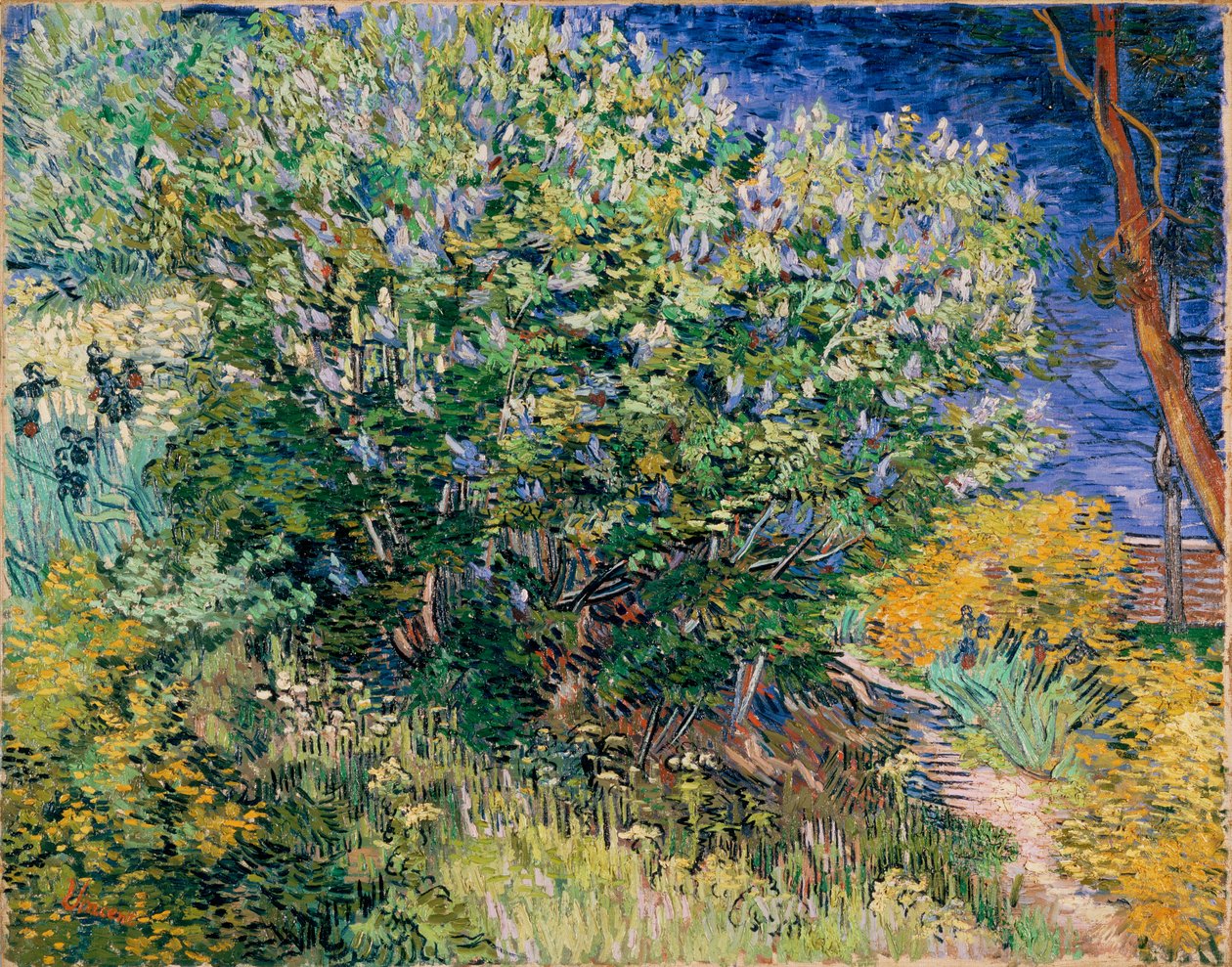 Lilac Bush (šeříky) od Vincent van Gogh
