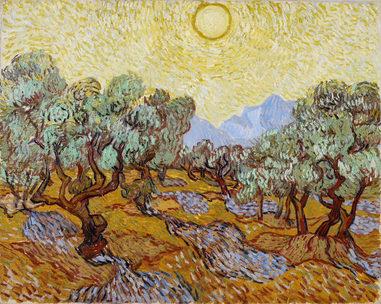Olivovníky se žlutou oblohou a sluncem od Vincent van Gogh