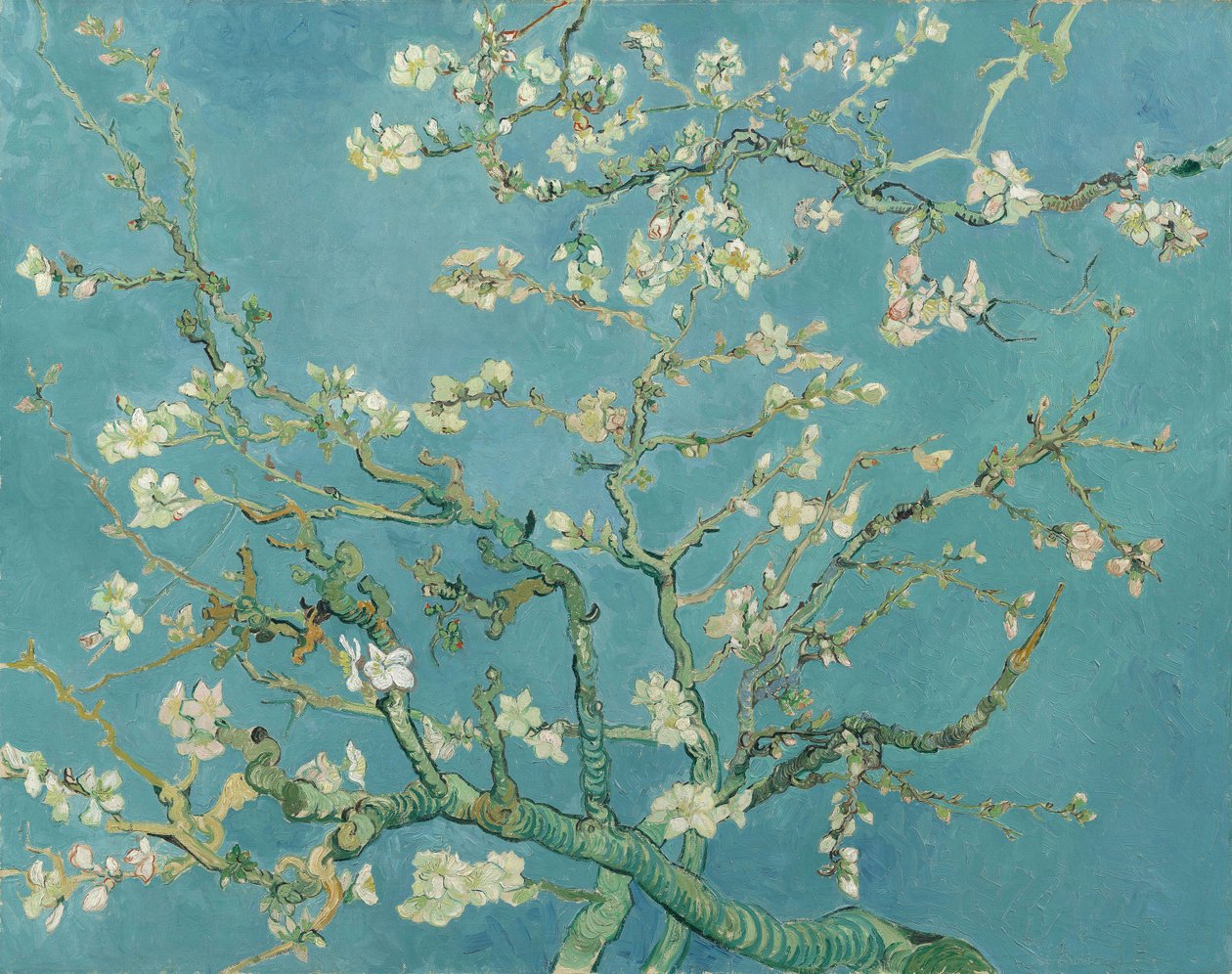 Mandlový květ od Vincent van Gogh